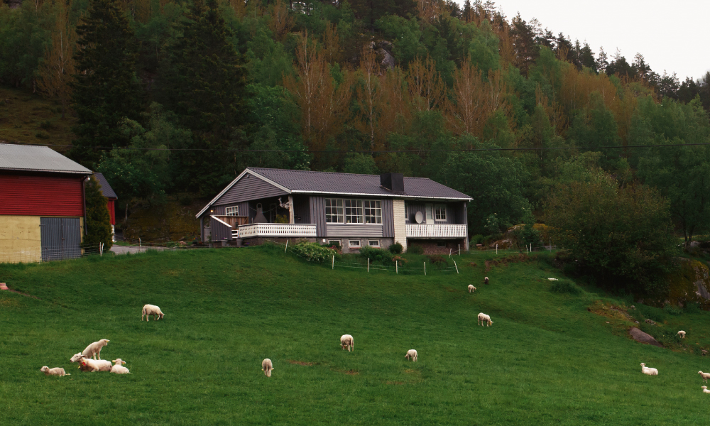 Buy & Sell Country Houses